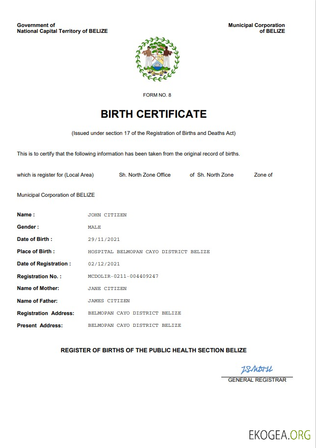 Modèle Word et PDF d'acte de naissance d'acte d'état civil du Belize